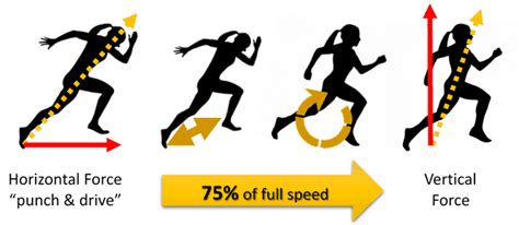 speed definition sports.